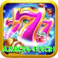 aaron finch Pro Edition v4.3.3