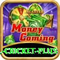 all cricket Cash King