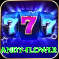 andy flower Turbo Pro v1.6.3