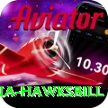 antigua hawksbill Apps (Tools & Injectors) VIP v1.0.9