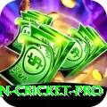 australian cricket Mobile Mega