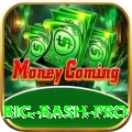 big bash - Turbo Edition v3.8.5