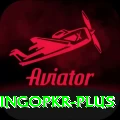 bingopkr Apps (Tools & Injectors) Pro v3.4.3