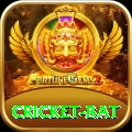cricket bat Max Pro v5.5.0