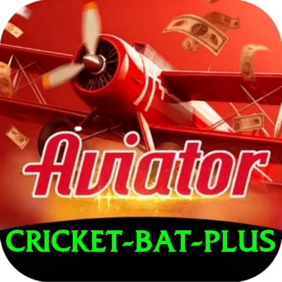 cricket bat Pakistan Premium v1.7.8 - 2