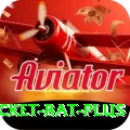 cricket bat Pakistan Premium v1.7.8