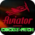 cricket pitch Max Pro v2.1.4