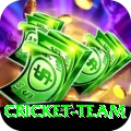cricket team Master v2.5.6