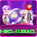 dhampus rice terrace Premium v3.1.4