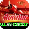 fastest ball in cricket Gold Edition v4.6.6