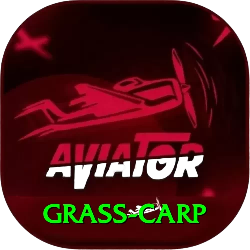 grass carp Max v2.9.6 - 2