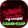 grass carp Max v2.9.6