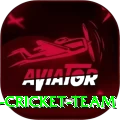 hong kong cricket team Ultimate v2.9.0
