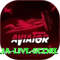 india australia live score Premium Edition v1.5.0