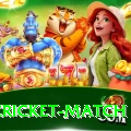 india cricket match Plus Edition v3.0.1
