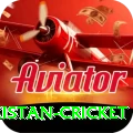 india pakistan cricket Pro v1.2.4