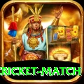 india pakistan cricket match Plus Pro v2.3.6