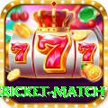 international cricket match Premium Edition v3.3.9