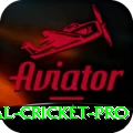 international cricket Ultimate v1.3.6