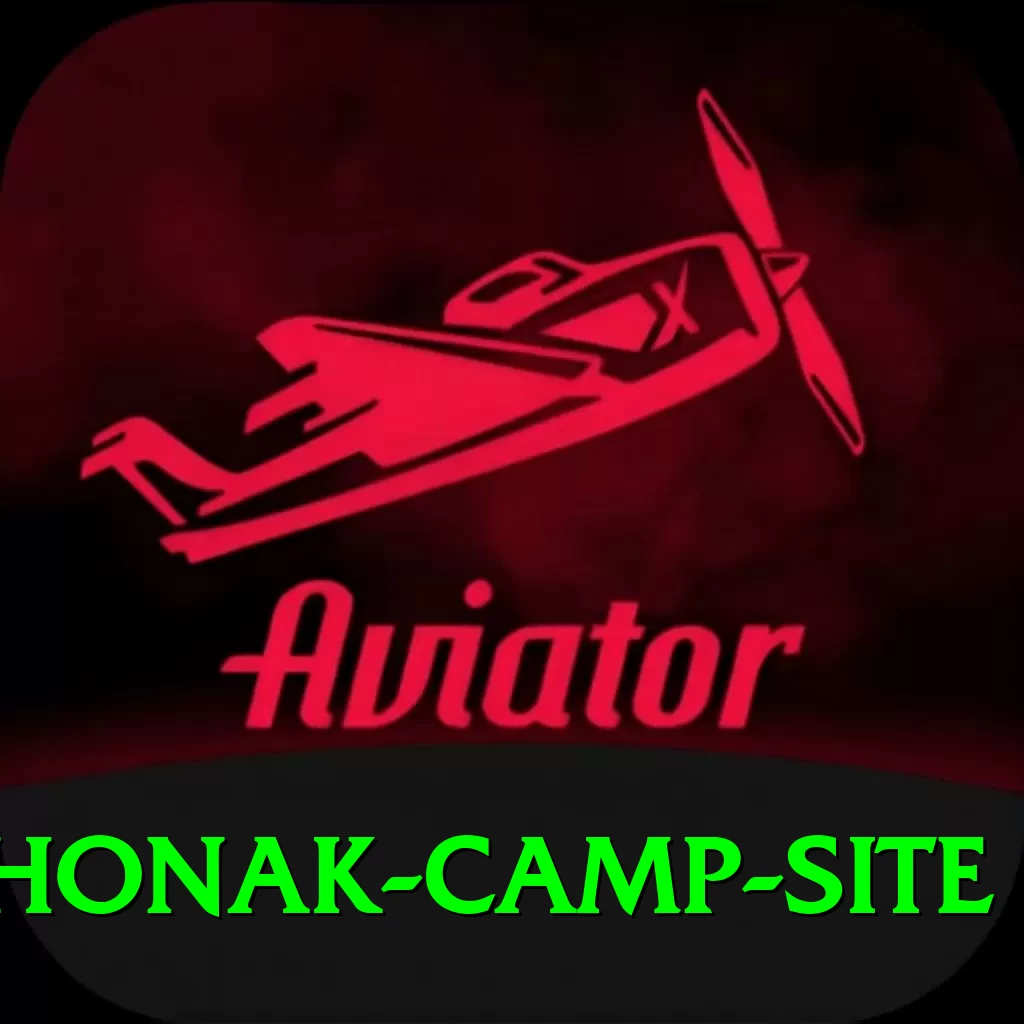 lhonak camp site App - 2