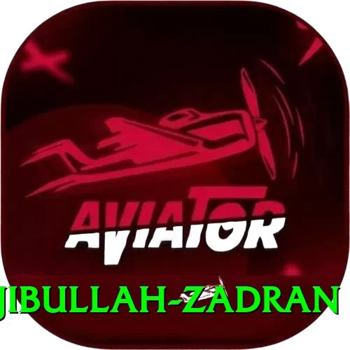 najibullah zadran Turbo v2.6.7 - 2