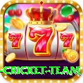 netherlands cricket team Deluxe v1.8.6