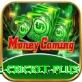 online cricket - Casino Mega