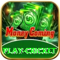 play cricket Games (Casino & Earning) Premium v2.3.4