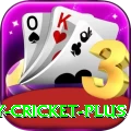 play cricket Slot Machine Plus
