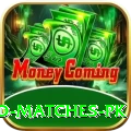 rain affected matches pk Pro Edition v5.8.4