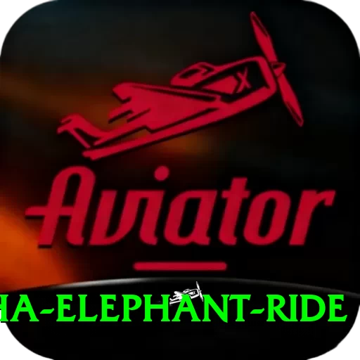 sauraha elephant ride Plus Edition v3.4.1 - 2