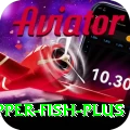 snapper fish Master - Free Download