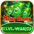 steve waugh Ultimate Pro v4.0.3