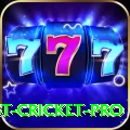 test cricket Premium Slots