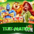test match Pro v2.5.9