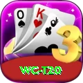 wc t20 Apps (Tools & Injectors) Premium v1.2.7