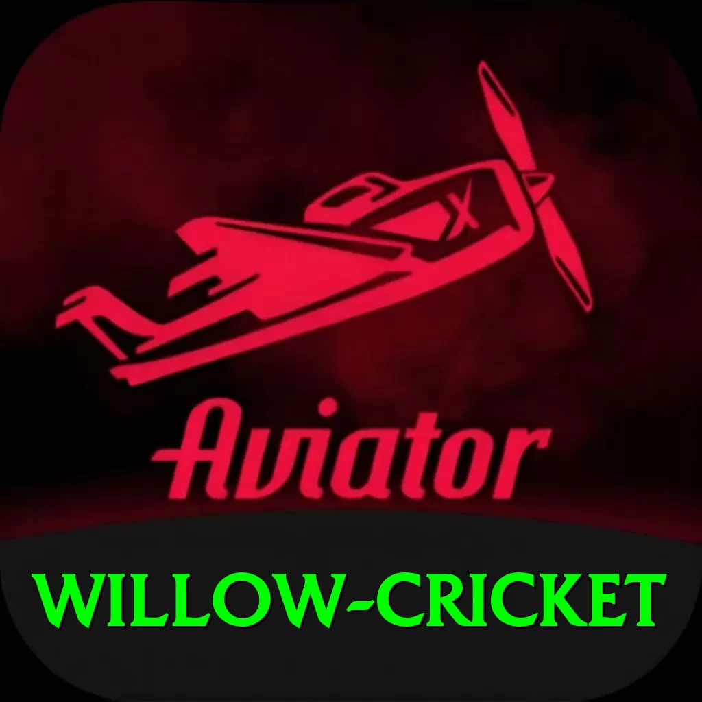 willow cricket Master Pro v5.8.1 - 2