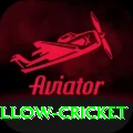 willow cricket Master Pro v5.8.1