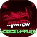 world cup 2022 cricket PK VIP