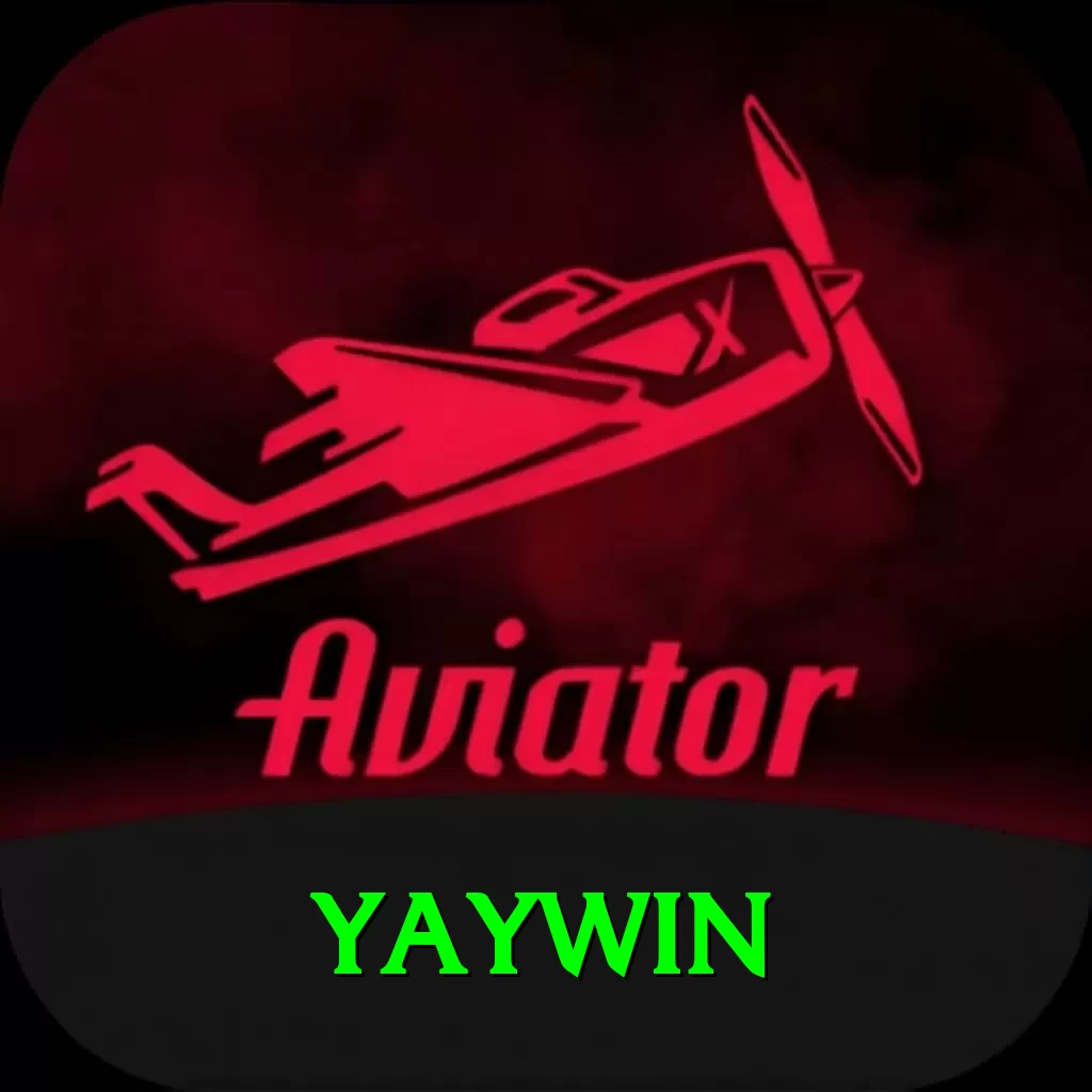 yaywin Pro Edition v2.9.0 - 2